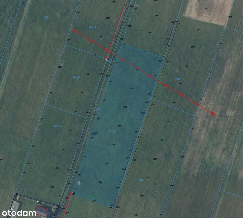 Sprzedam działkę budowlaną 3000 m² – Brzeziny