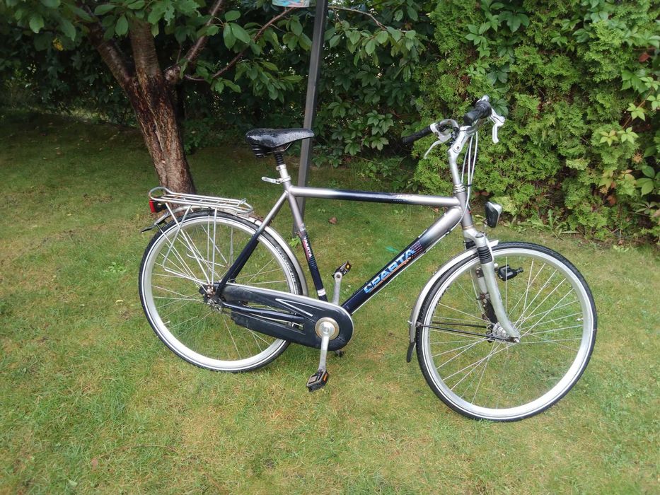 Rower firmy Sparta Delphi Deluxe.