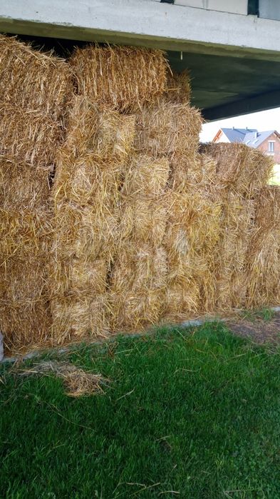 Słoma owsiana kostki