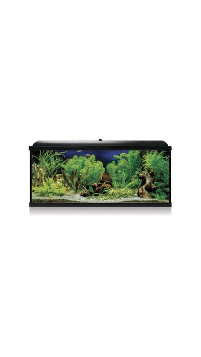 LOJA!! - Aquario com Led 100cm NOVO - LOJA !!