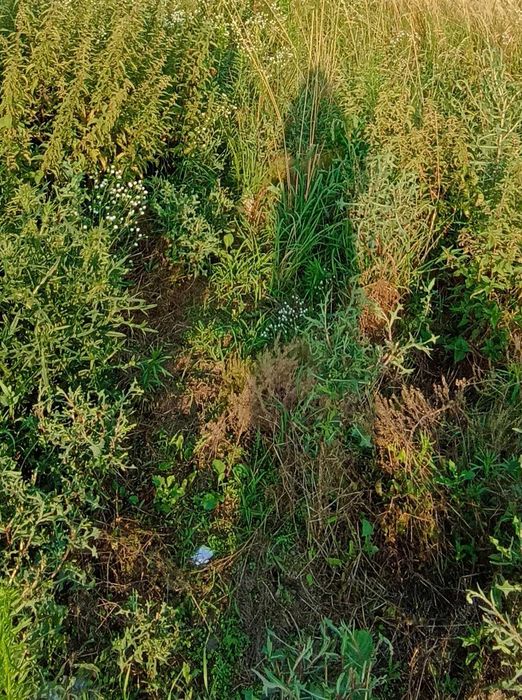 Bezpośrednio sprzedam działkę Michałowice