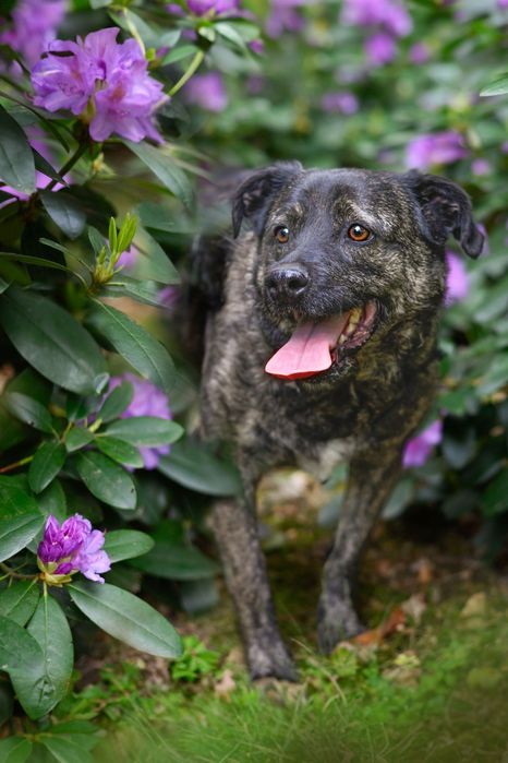 Kobi proś o miłości i dom