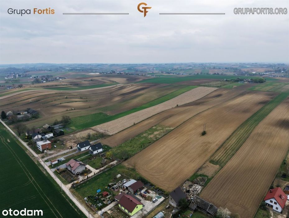 Działka rolna 1,59 ha | Jakubowice, proszowicki - Widok 5