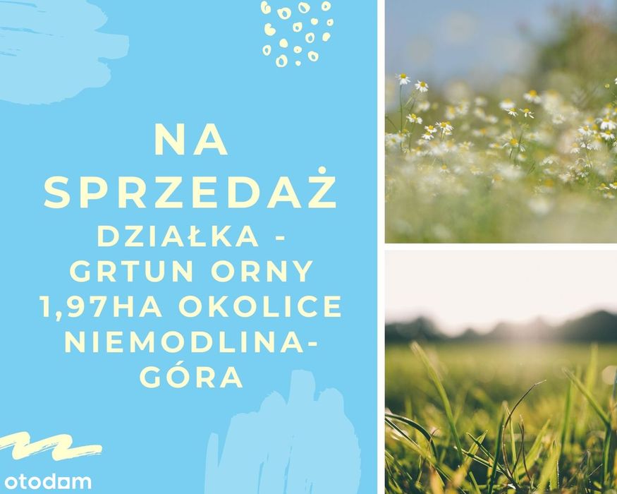 Działka rolna 1,97 ha – Góra, gm. Niemodlin – PILNIE SPRZEDAM!