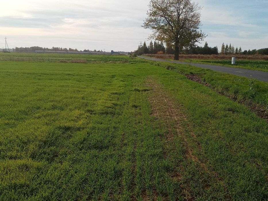 Sprzedam działkę budowlaną - Widok 5