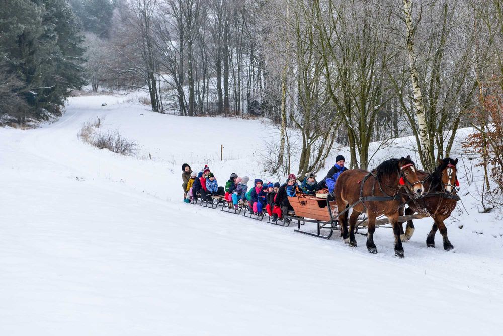 DOM NA KASZUBACH NA WYŁĄCZNOŚĆ max. 22 osób, blisko Wieżycy, kuligi!