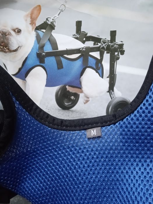 Інвалідний візок для маленьких собак