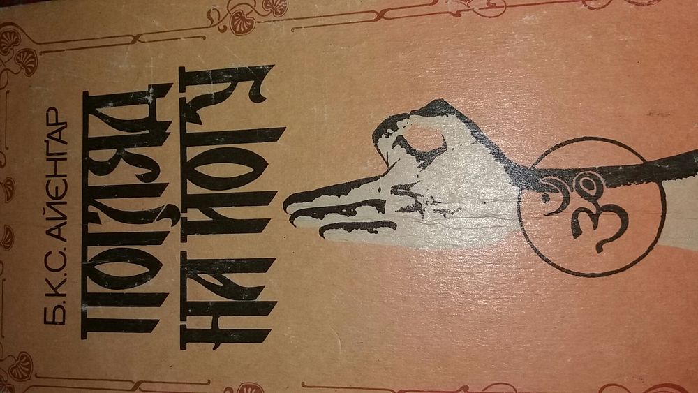 Айенгар Йога дипика Айєнгар Погляд на йогу