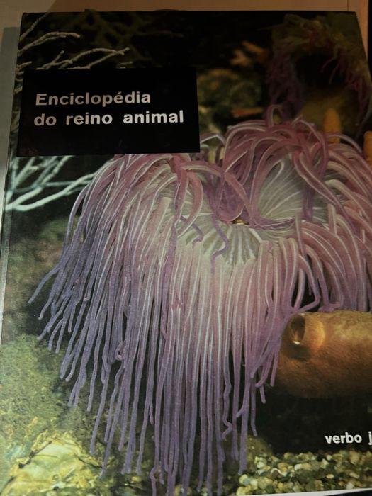 7 livros  enciclopedia verbo
