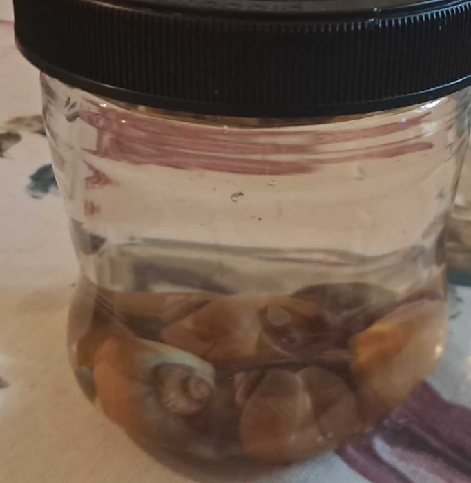 Акваріум готовий до використання!!! самовивіз