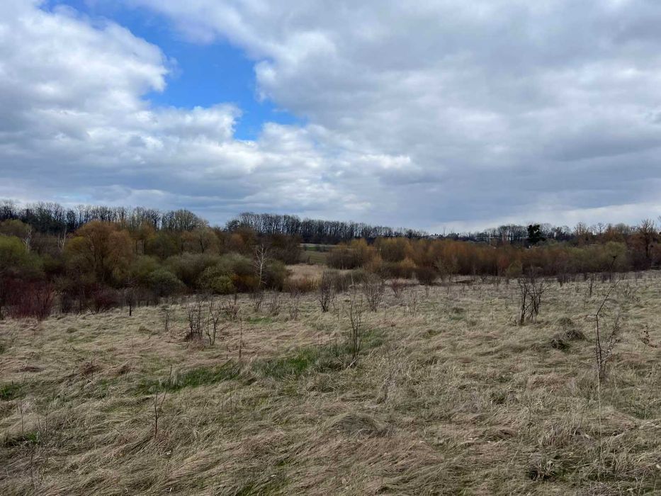 (5) Продам земельну ділянку 12 с в смт. Вороновиця 8116