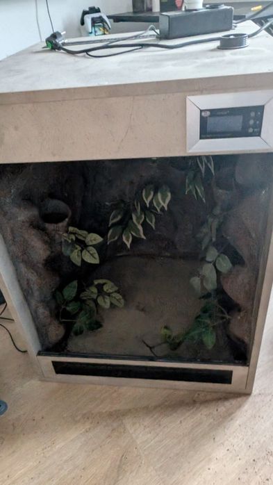 Terrarium tropikalne