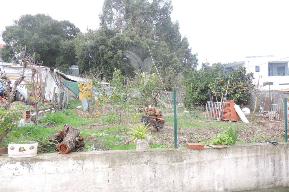 Lote terreno P/ Construção - Toledo / Vimeiro