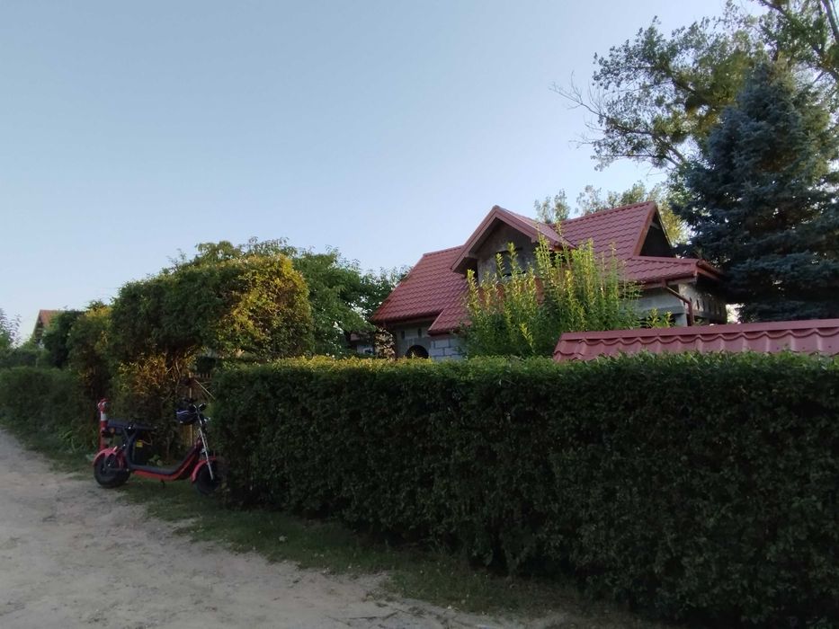 DZIAŁKA NAD SAMYM JEZIOREM OŁÓW - 500 m² - ROD - Wyjątkowa lokalizacja - zaledwie 8 metrów od linii brzegowej!