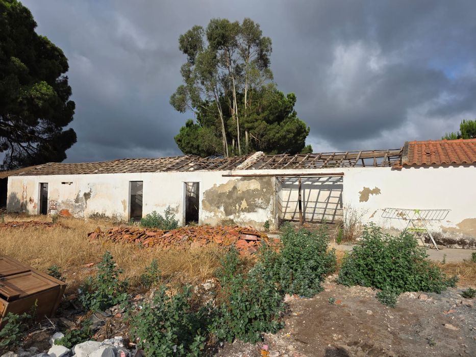 Base de vida em Grândola