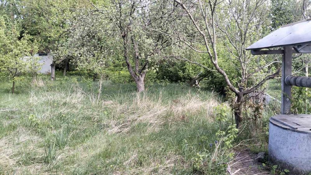 Продам реальний дачний уч-к, Передмістя, Миколаївка(Приват+кадастр)