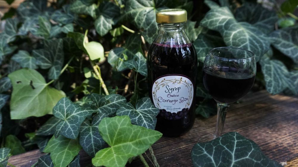 Syrop z owoców Czarnego bzu, Sambucus nigra, Dzikiego bzu