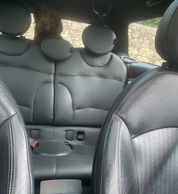 Mini Cooper S R55 r56