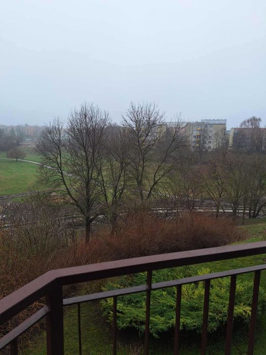 Zdjęcie 7
