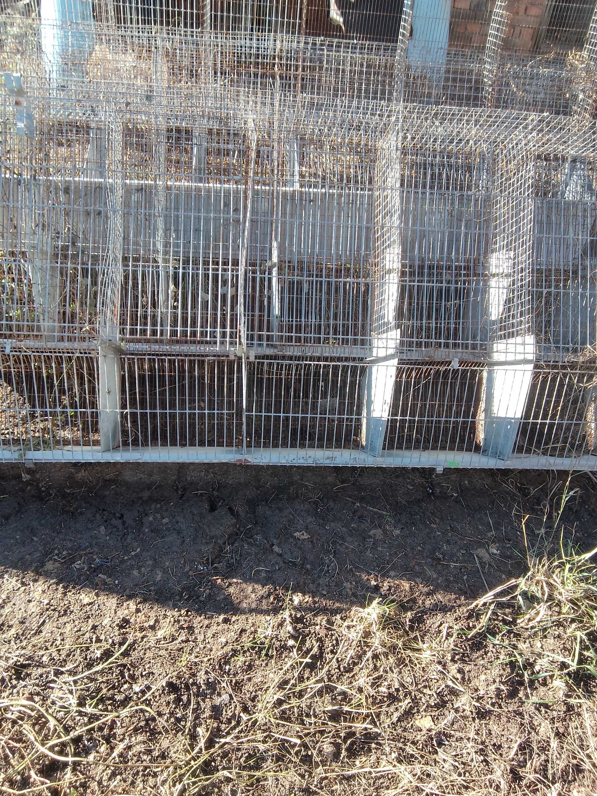 Клітка для кролів: 3 000 грн. - Зоотовари Городенка на Olx