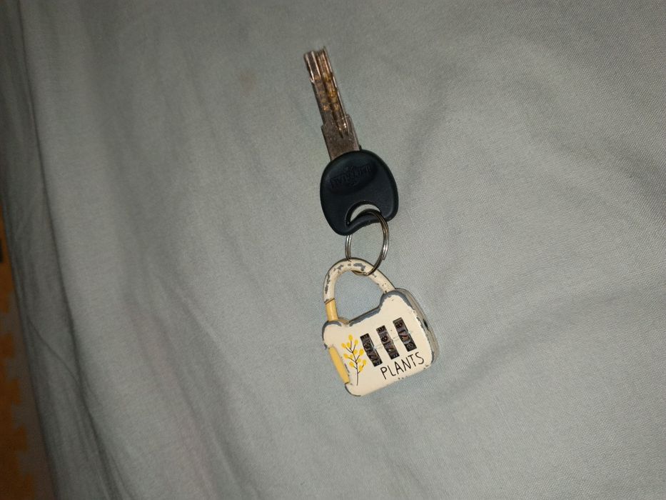 Найден ключ с брелоком