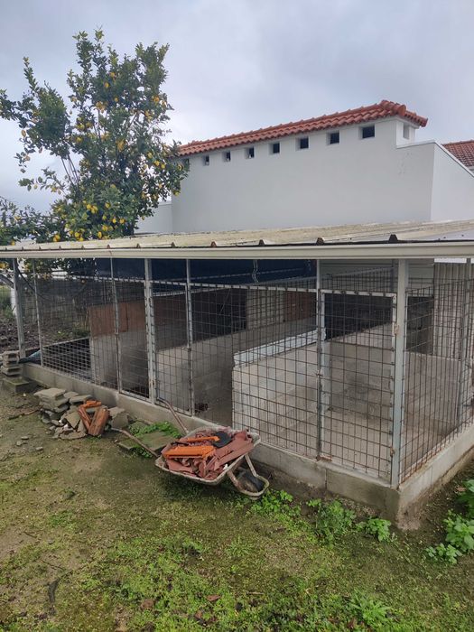 Canil Exterior Grande (3x6m) - Estrutura Metálica com Base Cimento