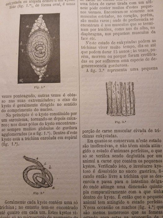 O Agricultor do Norte de Portugal (Volume IV - nº 8), 1881