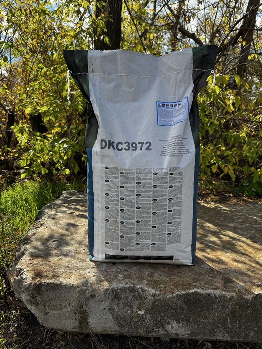 Насіння кукурудзи ДКС 3972 і 3969