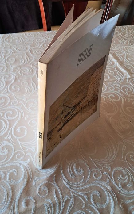 Catálogo Carlos Botelho (1989) – Fundação Calouste Gulbenkian (CAM)