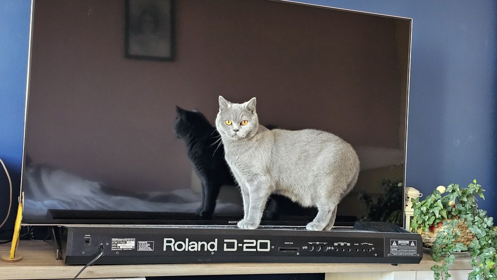 Roland D-20 Multi Timbral Linear Synthesizer