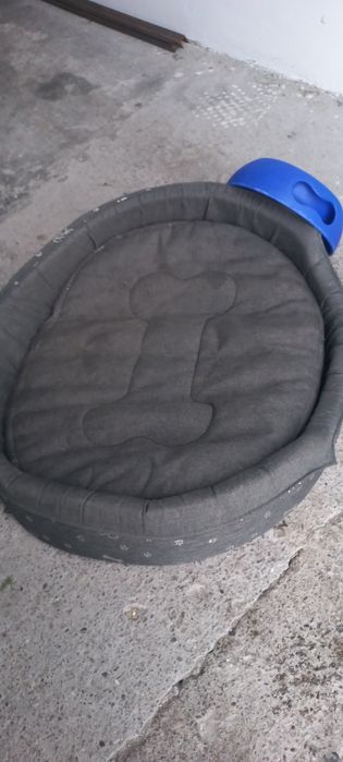 legowisko, mata chłodząca dla psa