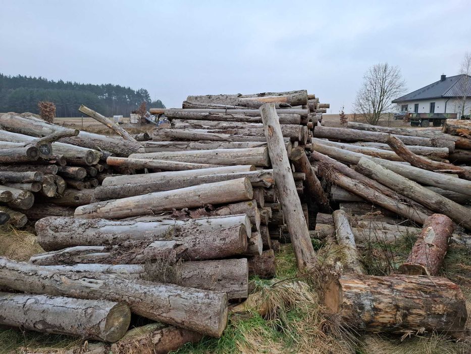 drewno opałowe wałki sosna