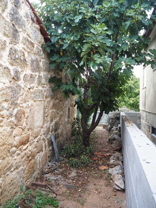 Moradia Térrea T2 com Terreno