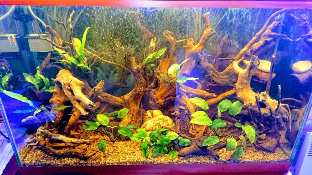 Коряга для аквариума