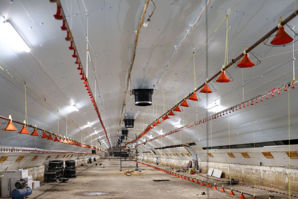 Błękitne Panele Izolacyjne Podsufitka Styrodur XPS AGRO 4,5,6,8,10,12