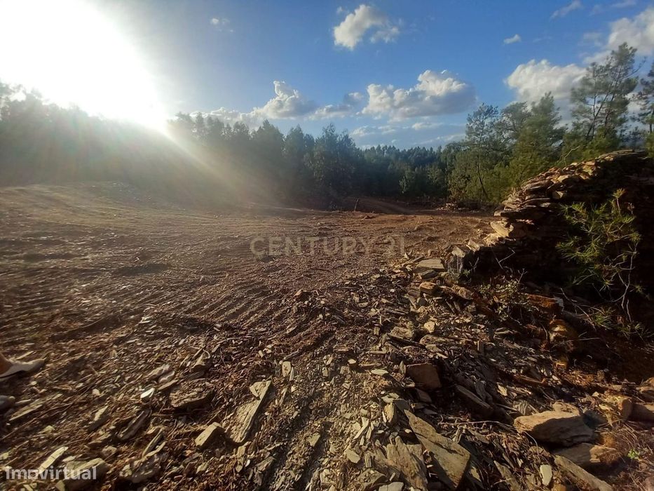 Land Plot in Benquerenças, Castelo Branco – 2800 m²