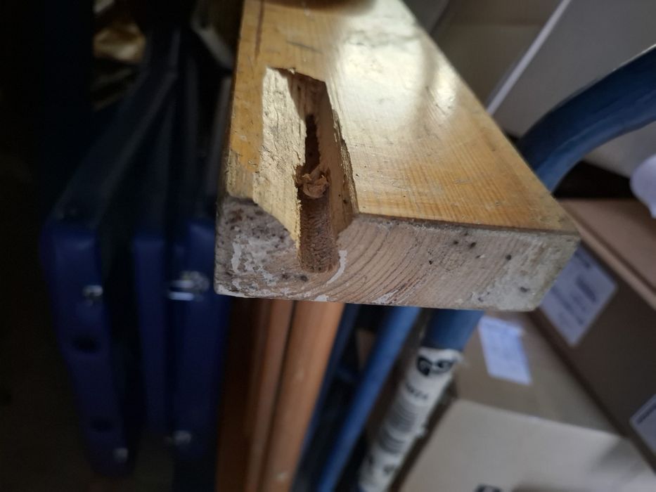 Drewniana drabinka gimnastyczna 240x90