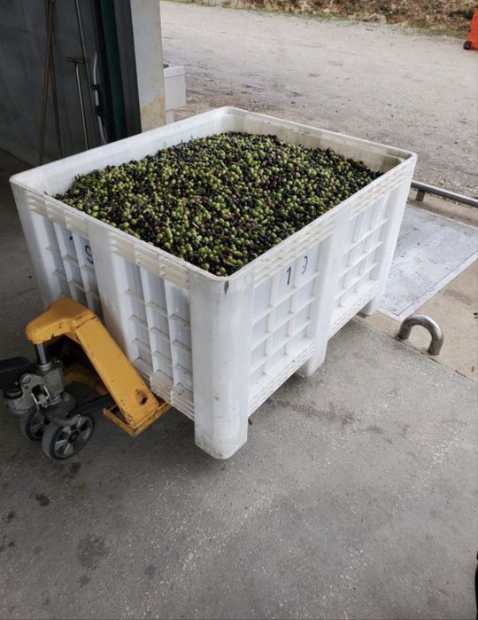 Azeite caseiro muito bom