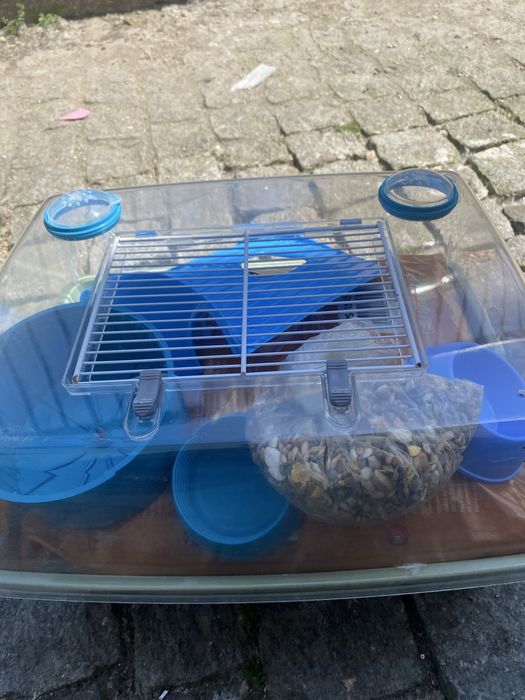 Casota para hamster