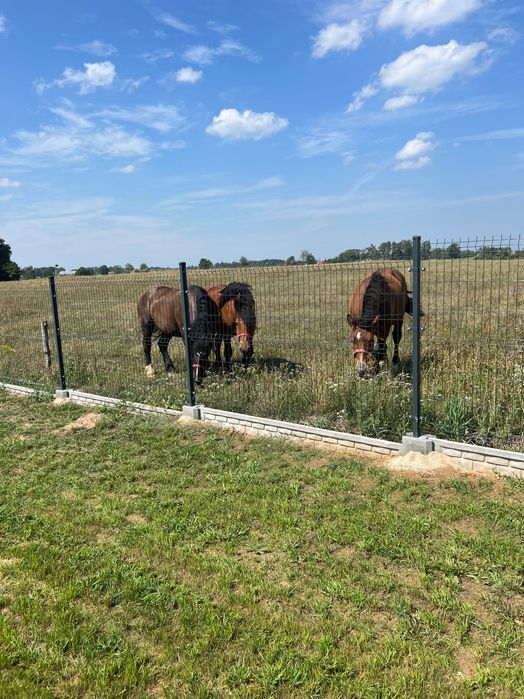 Mazury Domek Nad Stawem blisko plaża