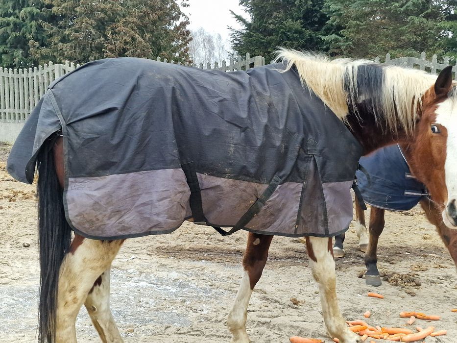 Derki padokowe z polarem 125,135,145