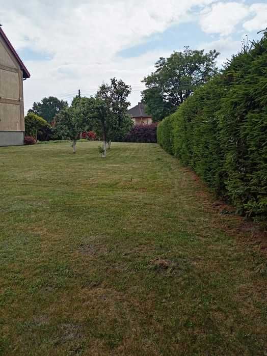 Prace ogrodowe/koszenie w dobrej cenie