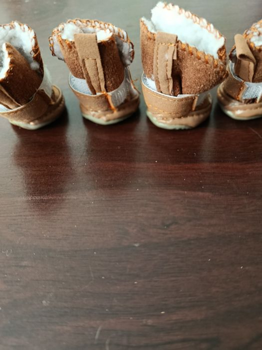 Тапули для маленькой собачки
