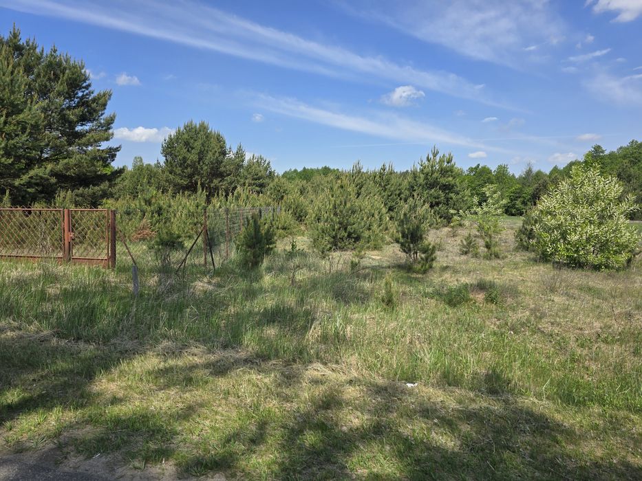 Działka 30 arów Długosiodło Nowa Wieś Nad rzeką  Narew
