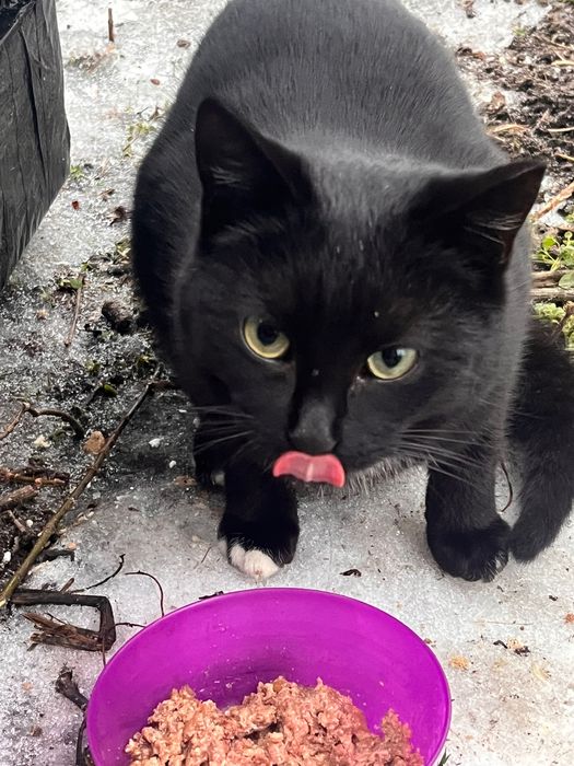 Błagam Cię o dom, człowieku