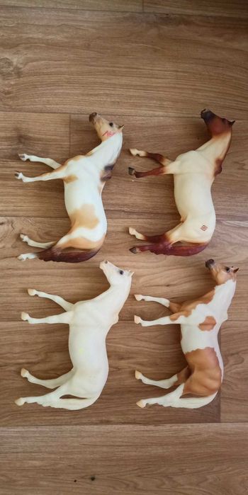 Breyer traditional conga moldu San Domingo