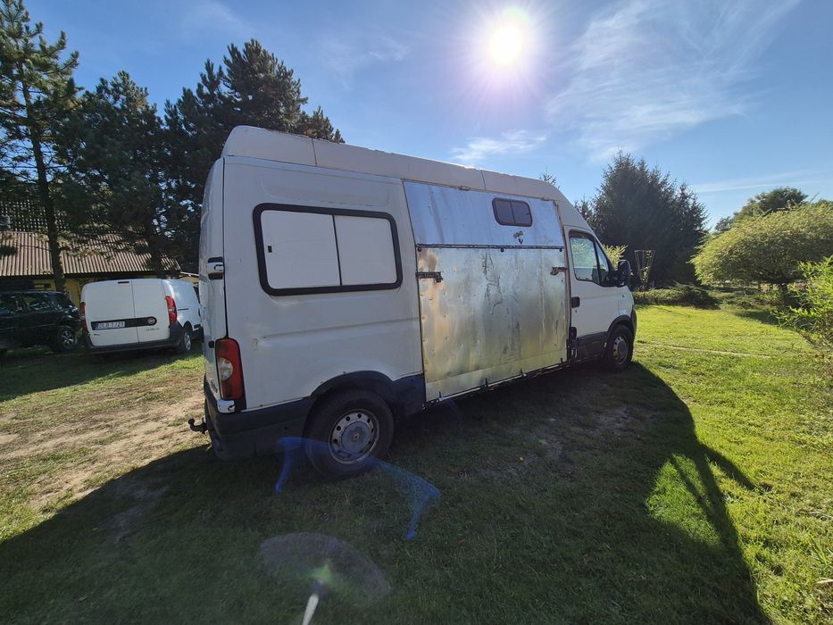 Renault Master II do przewozu żywych zwierząt koniowóz żywiec bydło