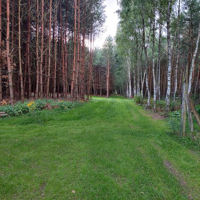 Domek letniskowy Spichlerz
