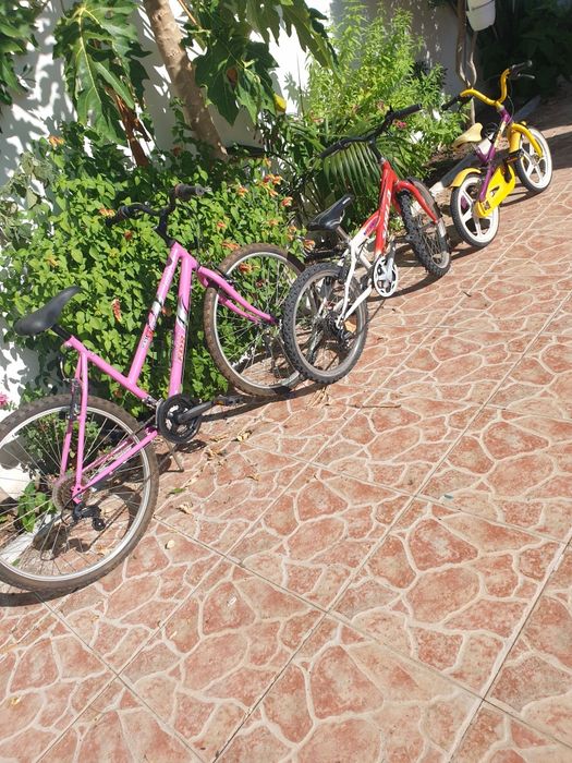 Conjunto de 3 bicicletas