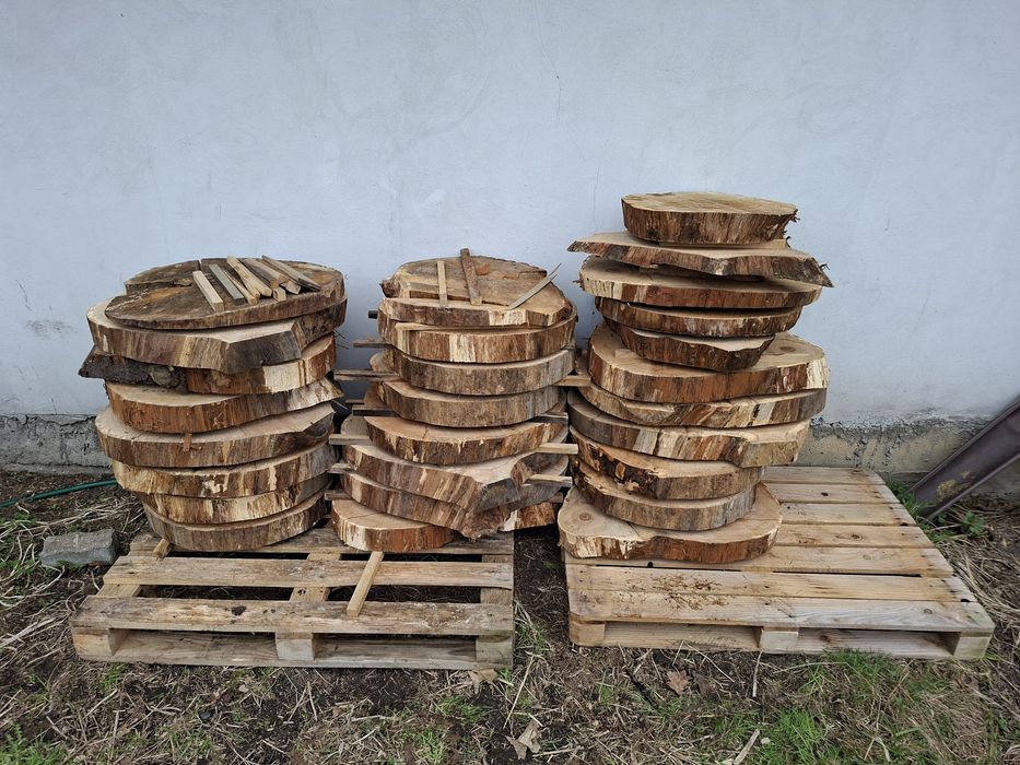 Plaster dębowy na stolik kawowy, ławę
